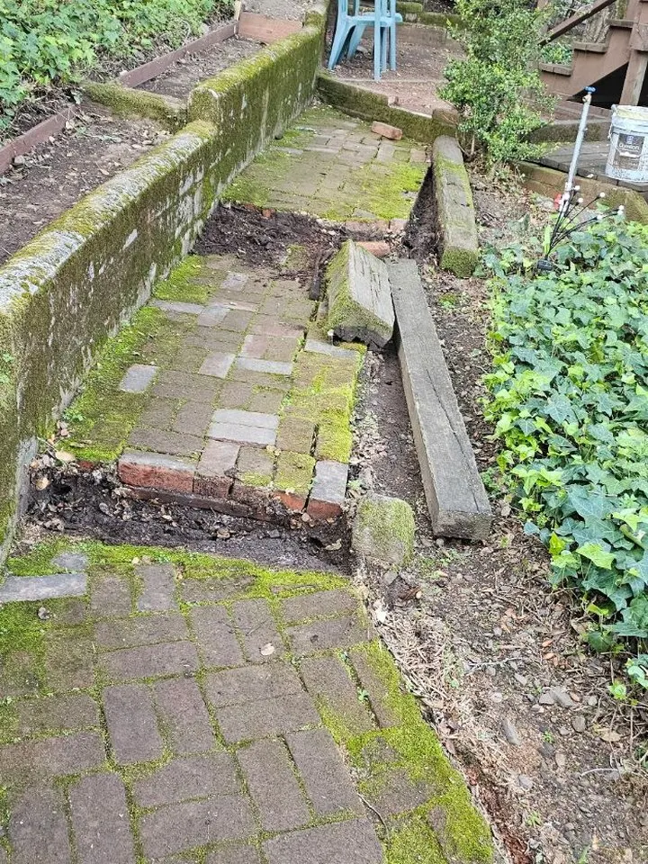 Old brick walkway covered in moss, with uneven bricks and a section dug out