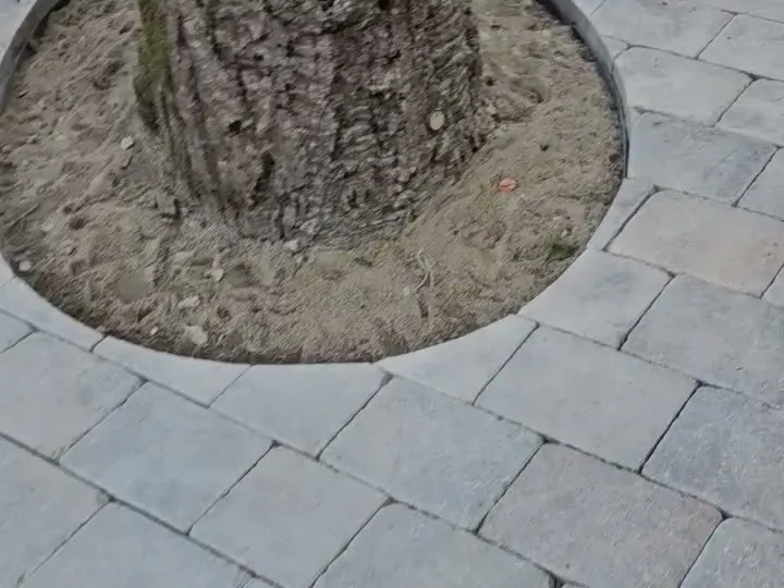 Paver walkway cut in a smooth curve around the base of a tree