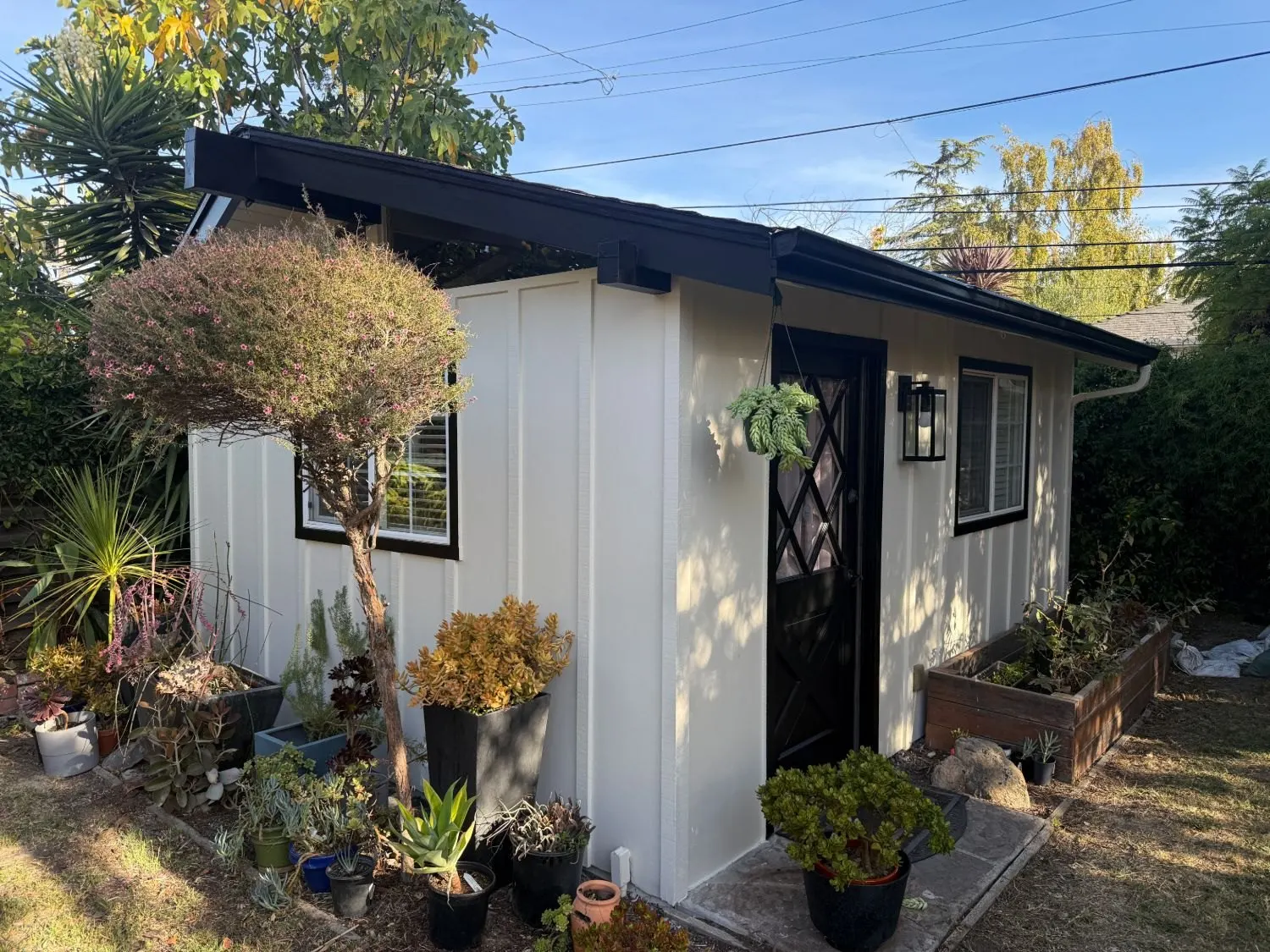 Painted shed with a black door and black window trim