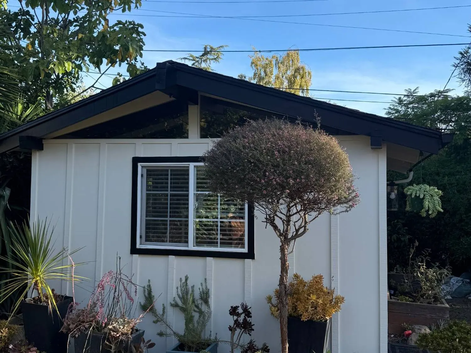 Same shed painted white with black fascia and window trim
